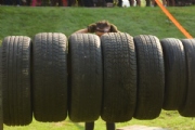 F2420795
