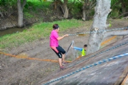 S2421203
