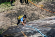 V2421461