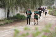 P2418244