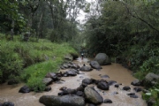 C2413324