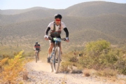 C2423008