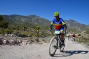 B2438711