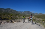 D2439075