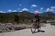 Q2439161