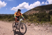 K2424568