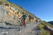 W2432187