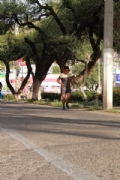 S2427853