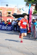 T2426130