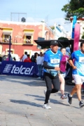 T2426517