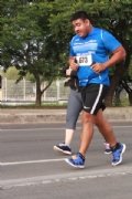 M2446566