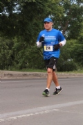 V2445981