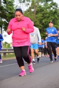 C2445419