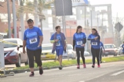 H2445164