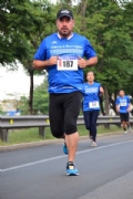 W2445561