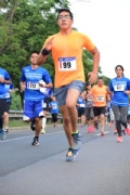 X2445186