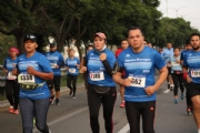 G2444913