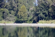 P2449164