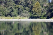 P2449254