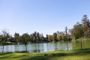 T2448900