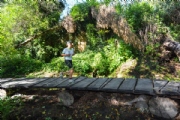 Q2451474