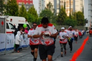 G2447946