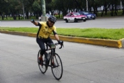 Z2462385