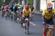 B2454982