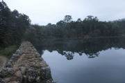 C2488194