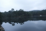 C2488198