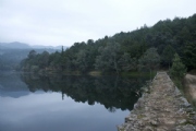 C2488288