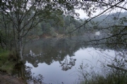 C2488355