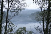 C2488367