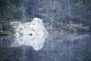 C2488389