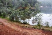 C2488675