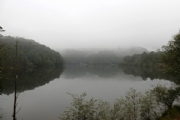 C2488798