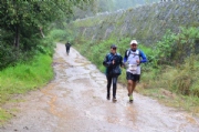 V2495044