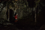D2495903