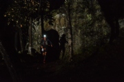 D2495926