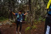 D2496341