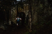 H2498185