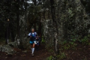 J2498030