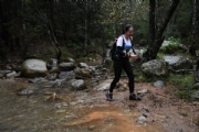 L2492791