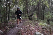 P2491698