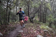 T2491952