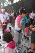 V2478247