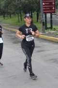 W2487344