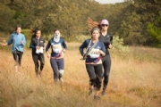 D2504467