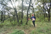 H2505309