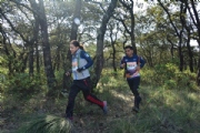 N2505723